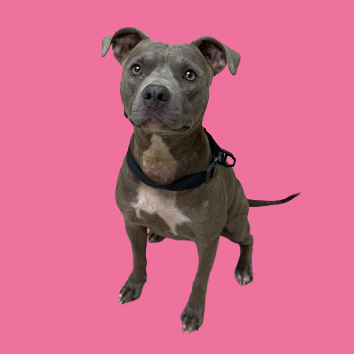Ellie