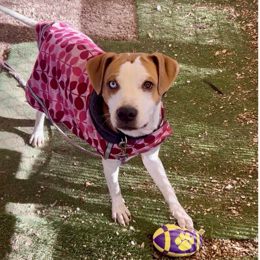 January Eve — thumbnail 11