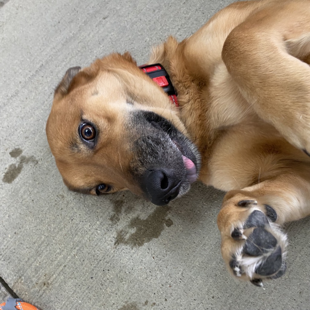 Theodora — thumbnail 2