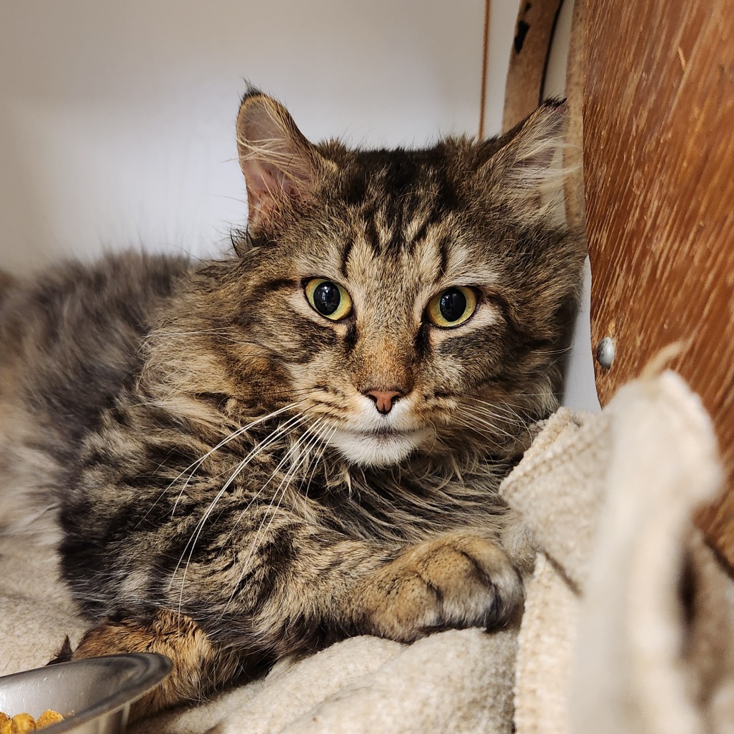 Bobsled — thumbnail 5