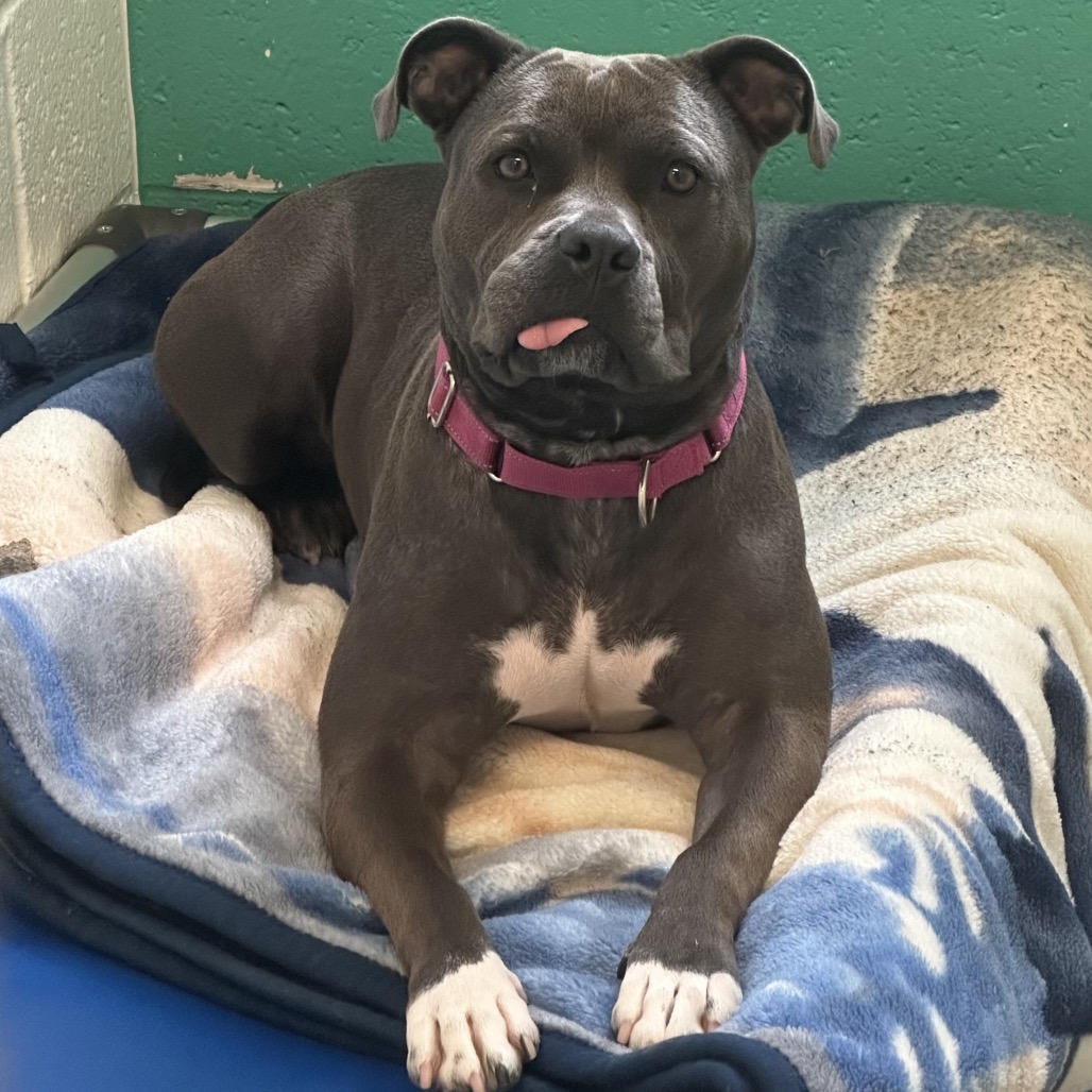 Photo of Ember 12