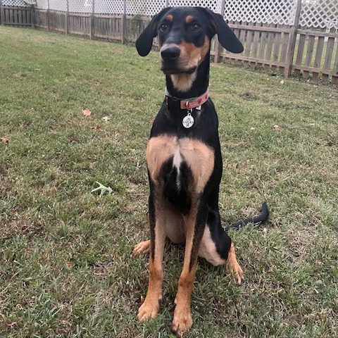 Jade, photo 16