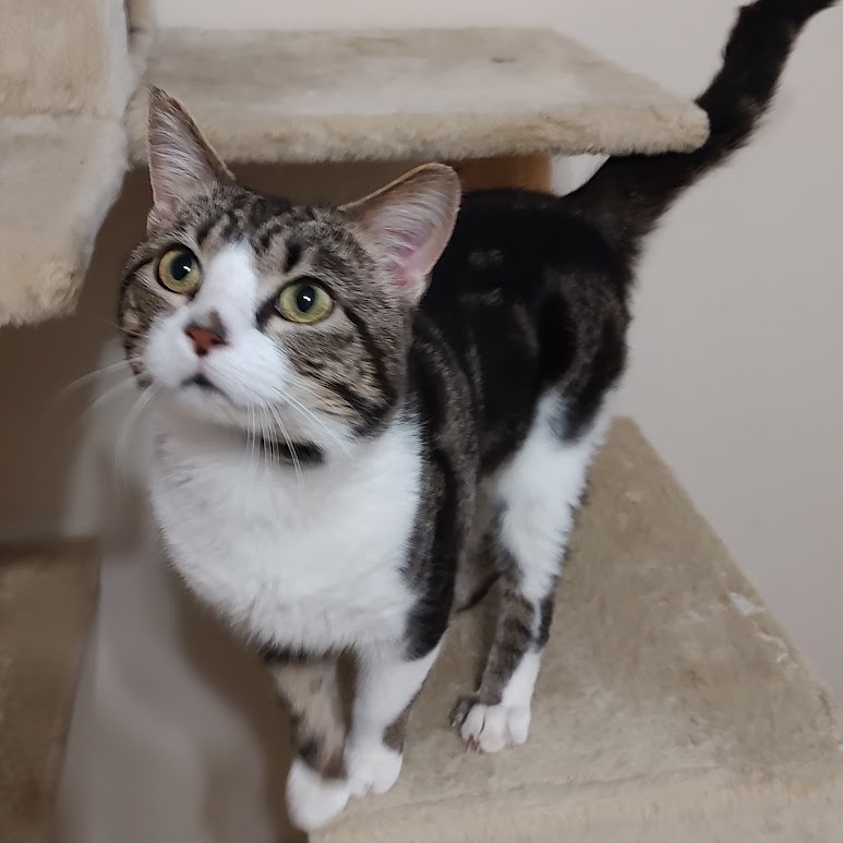 Jerry — thumbnail 3