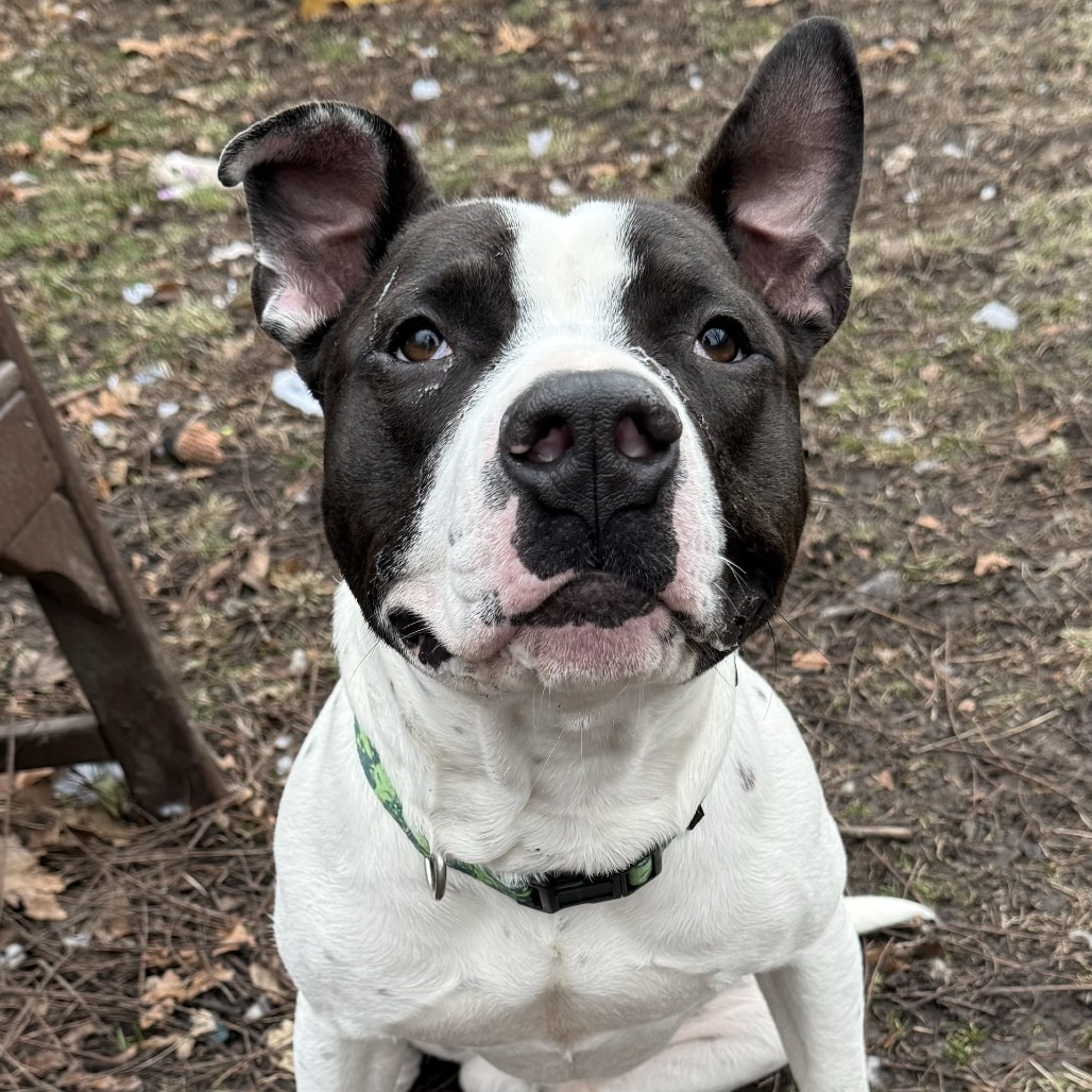 Carl — thumbnail 6