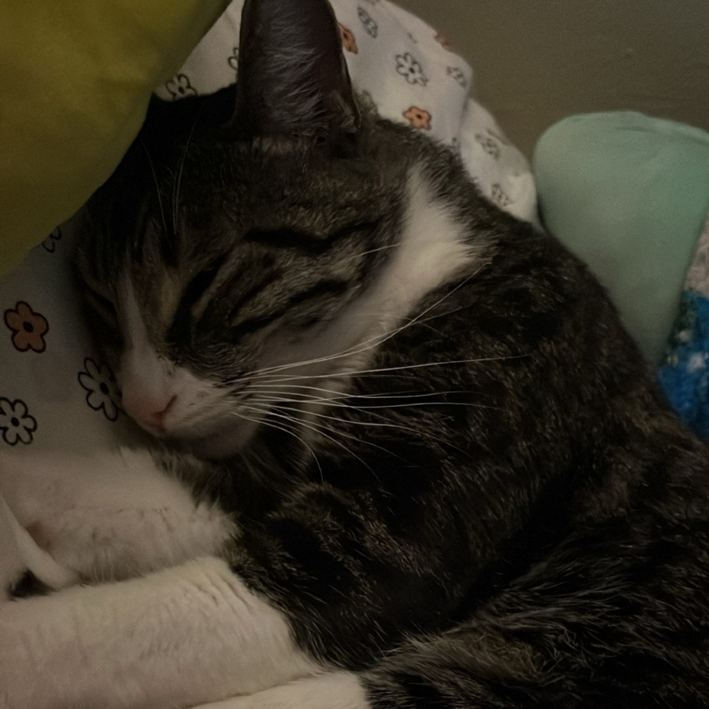 Carl, photo 5
