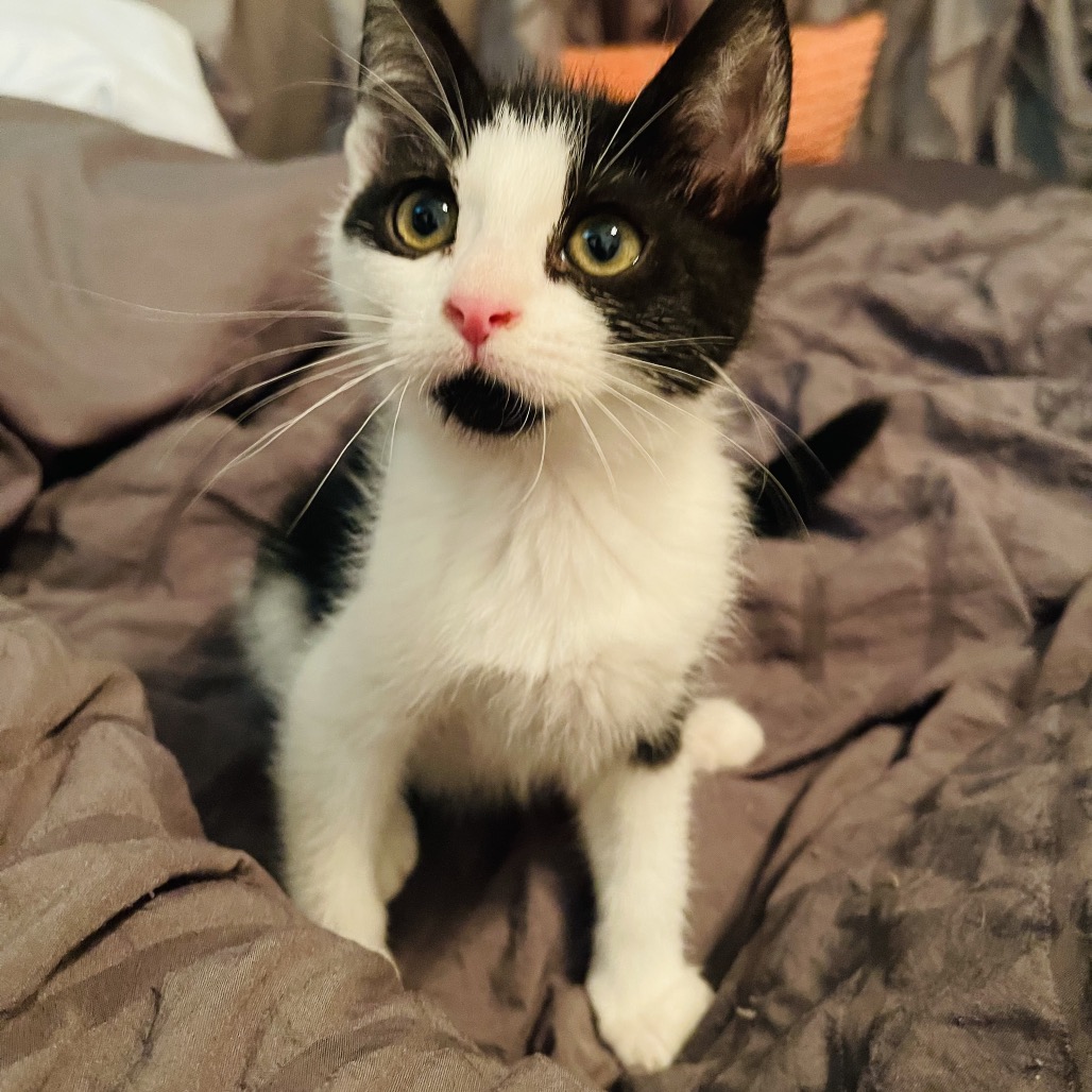 Newbie J3 -- Help us name this Newbie! Image