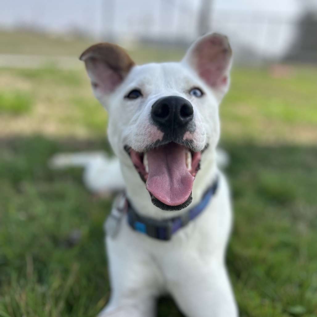 Little Lady — thumbnail 10