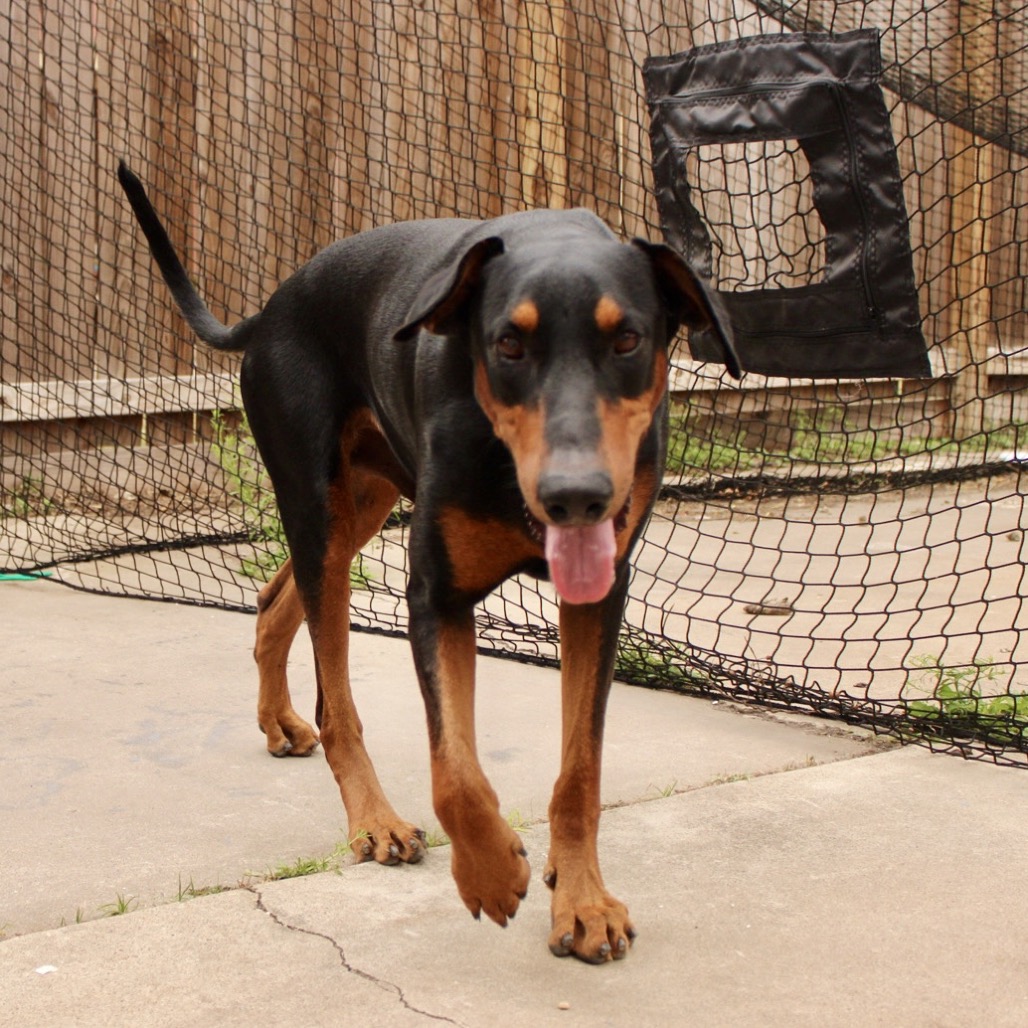 Thor photo 23