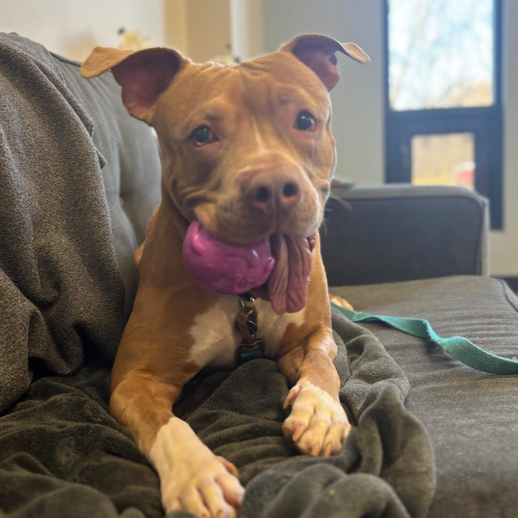 Gabe — thumbnail 3