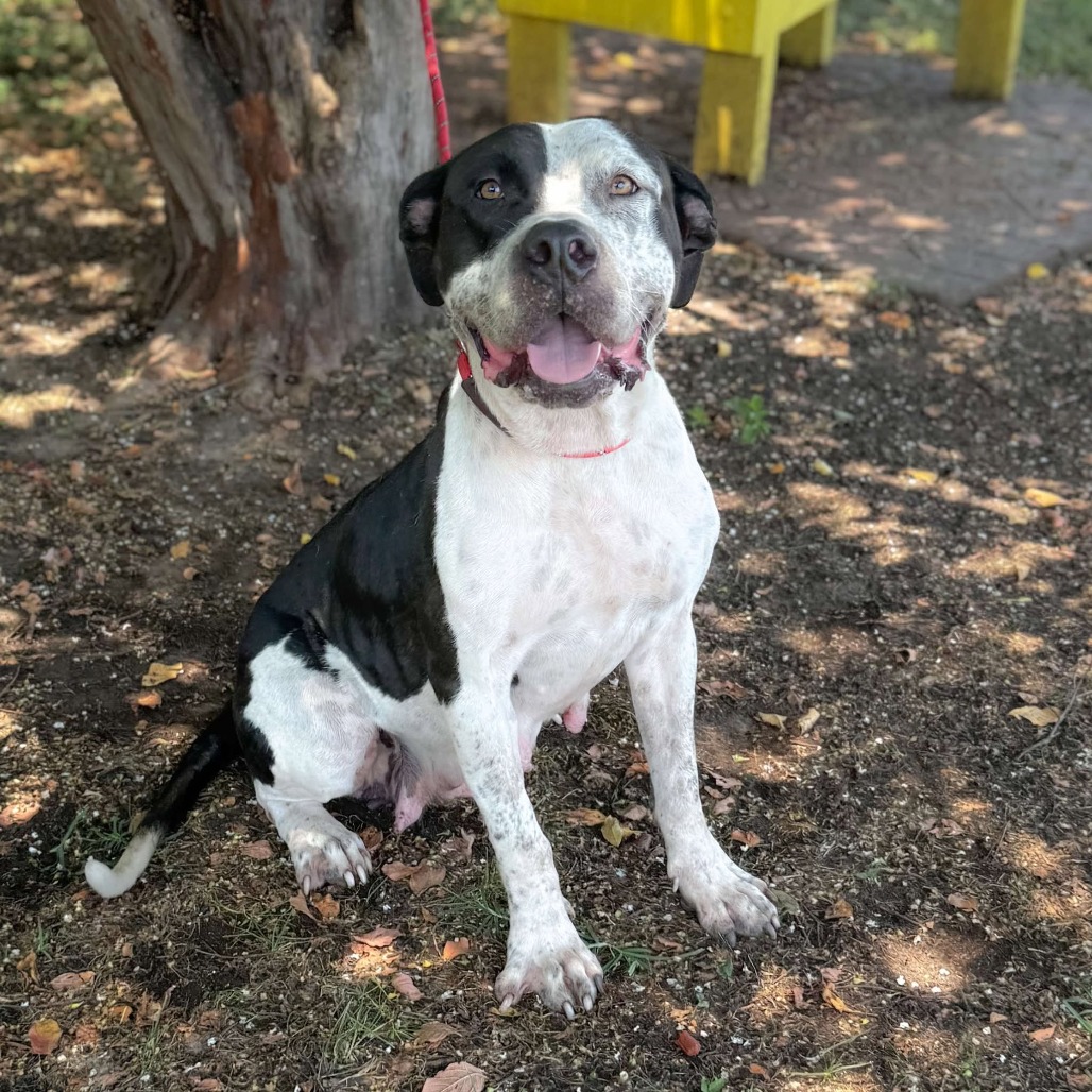 Peachy Keen — thumbnail 8