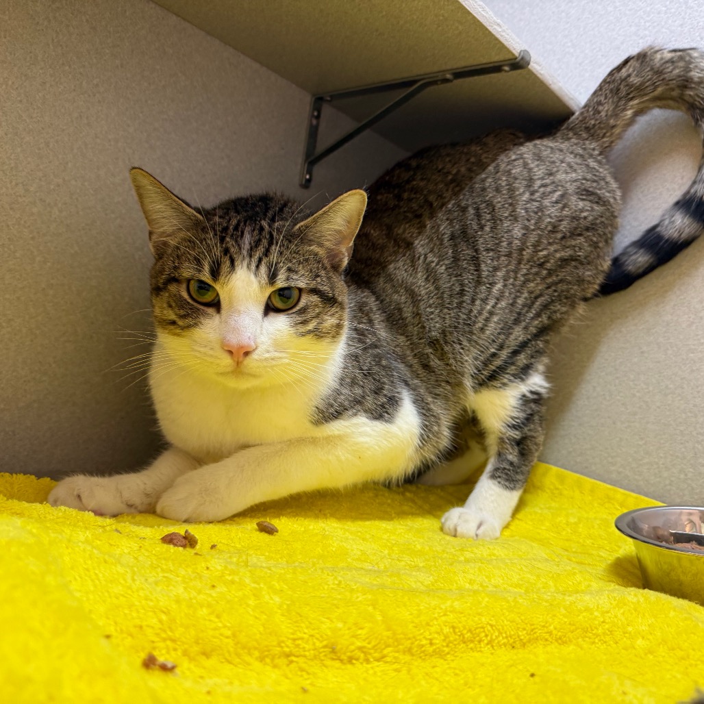 Photo of Nick Carraway 12