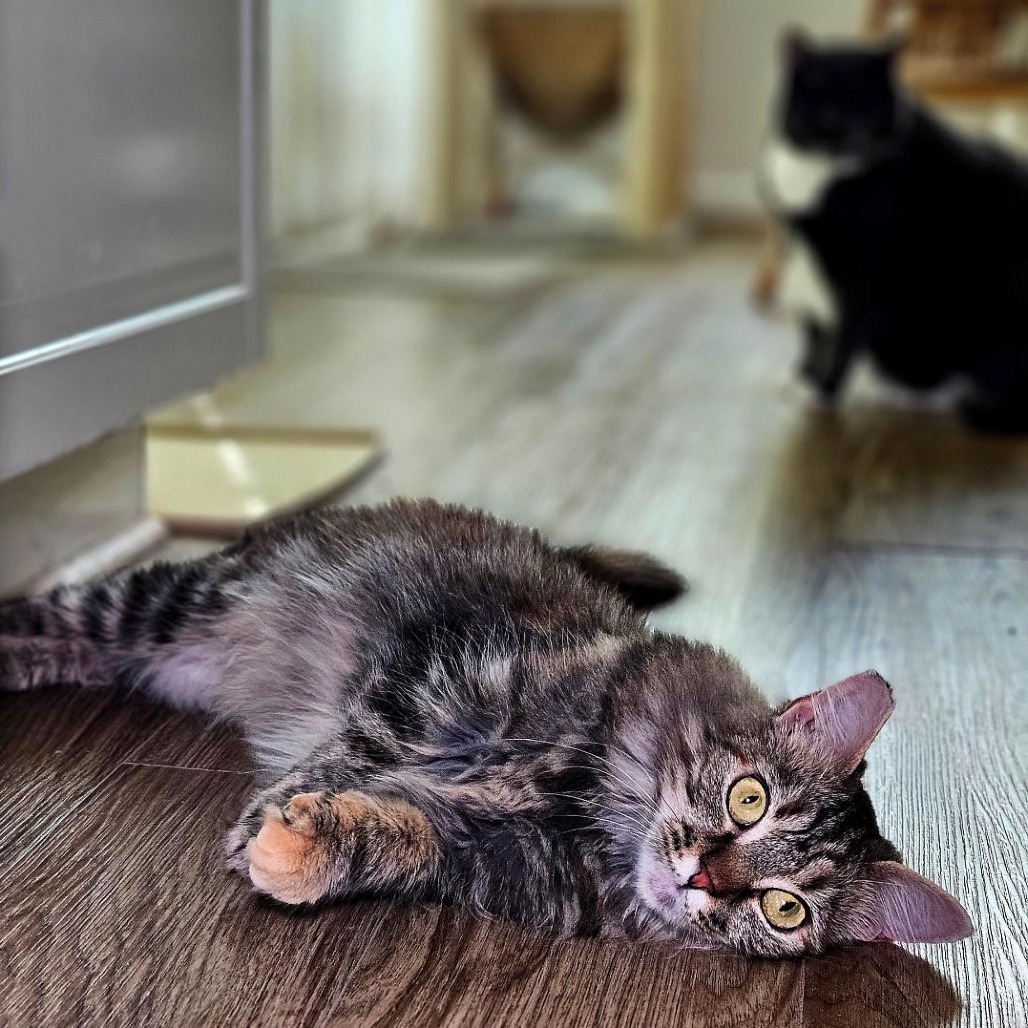 Marlie — thumbnail 4