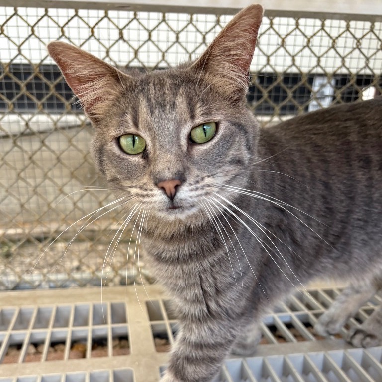 Full body shot of Avalon