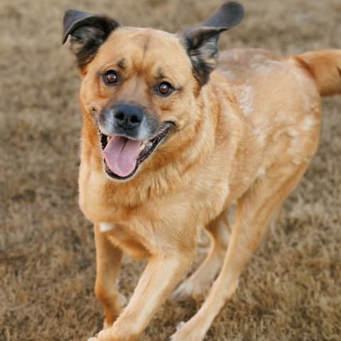 Photo of Mason