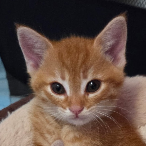 George, photo 3