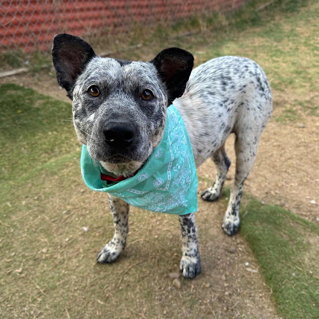 Carl — thumbnail 11