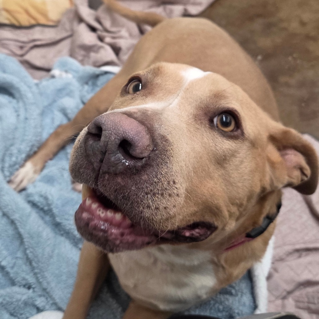 Velma — thumbnail 4