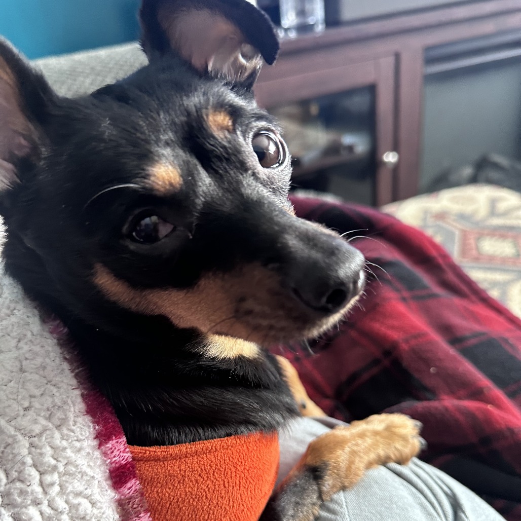 Daisy-In Foster — thumbnail 7