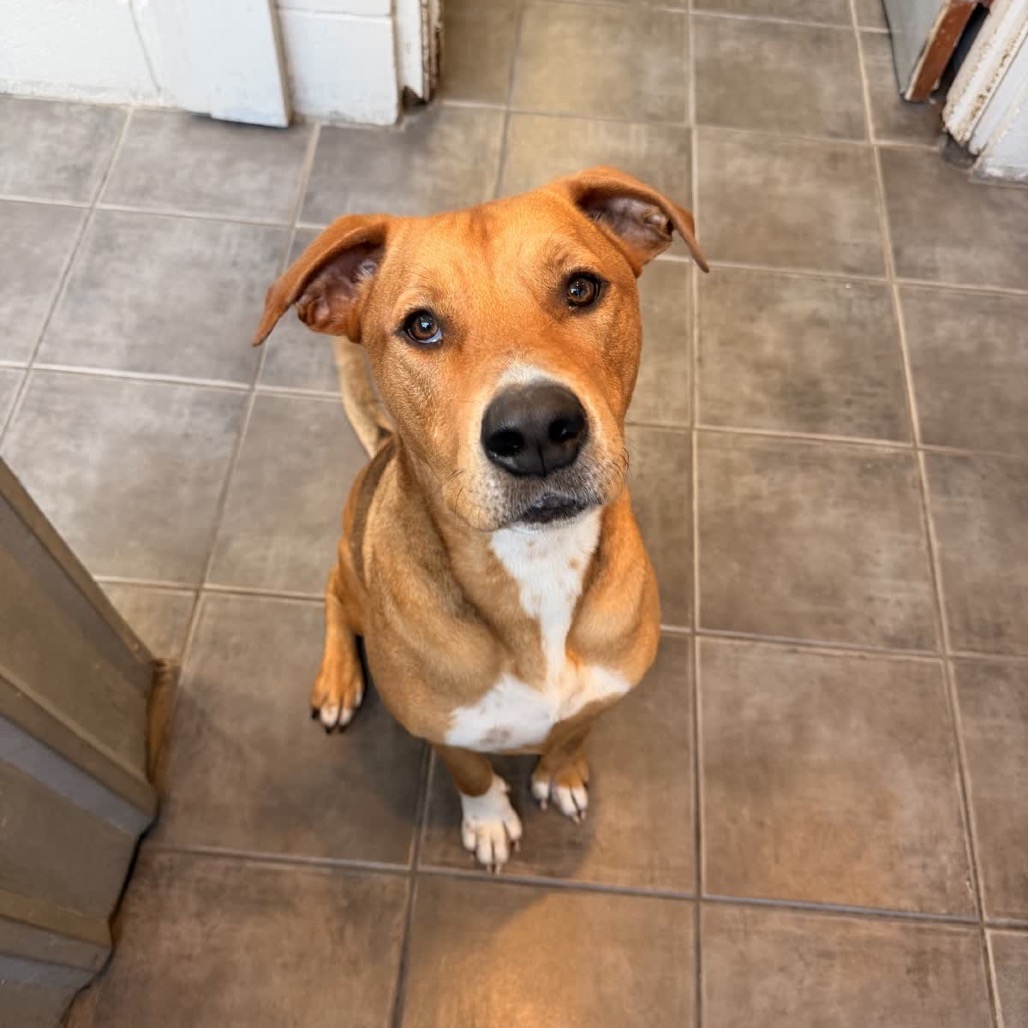 Buddy, photo 1 of 7