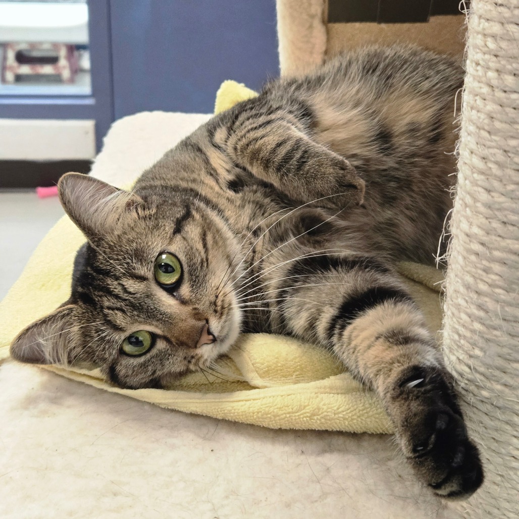 Photo of Cleopatra 4