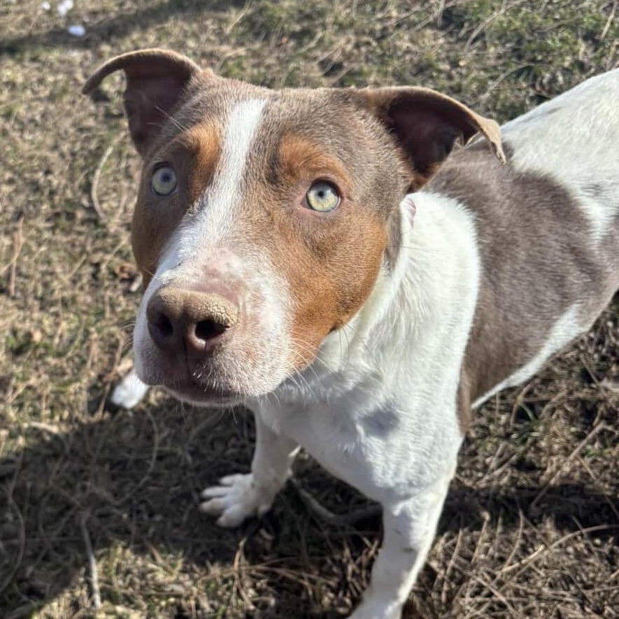 Couscous — thumbnail 6