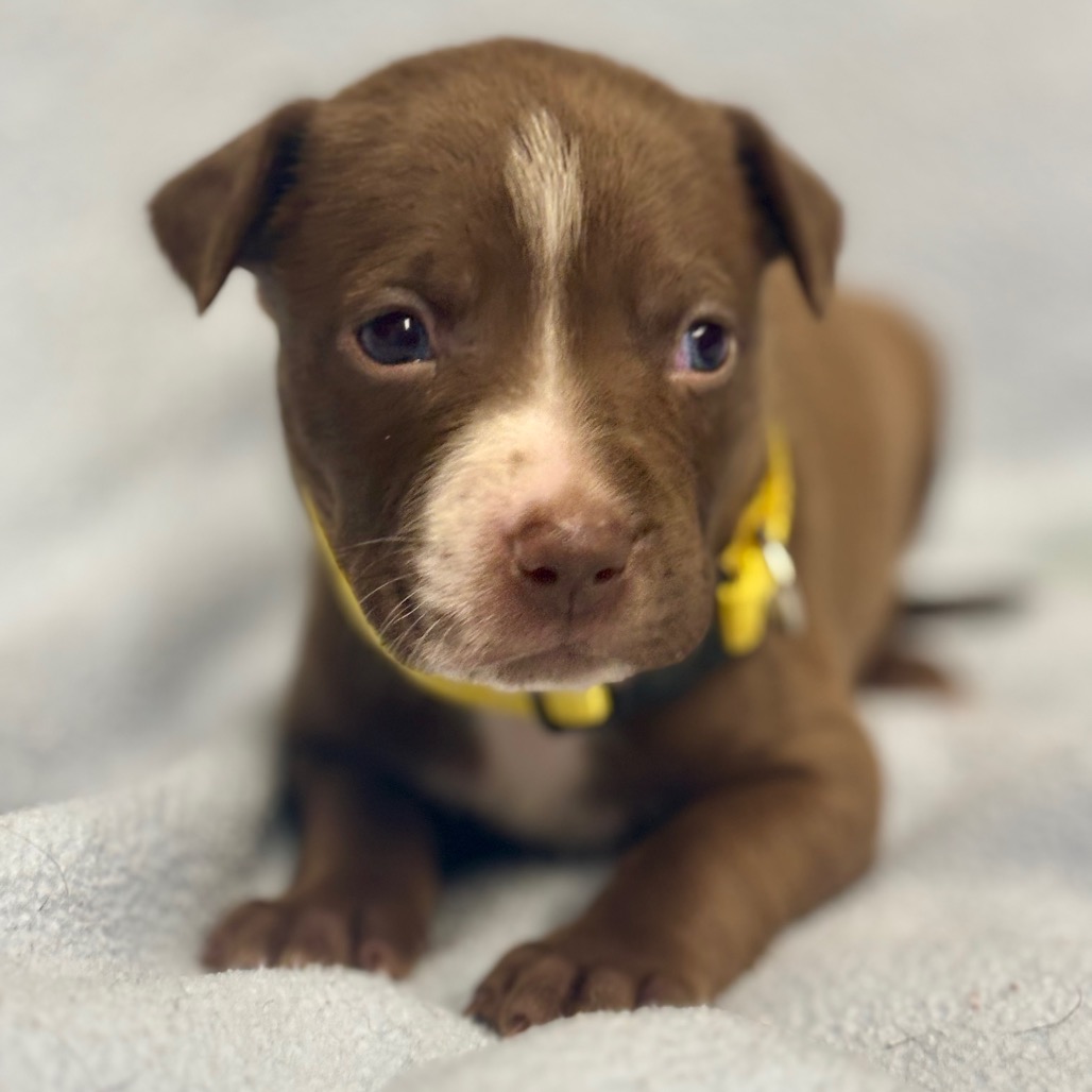 Navi photo