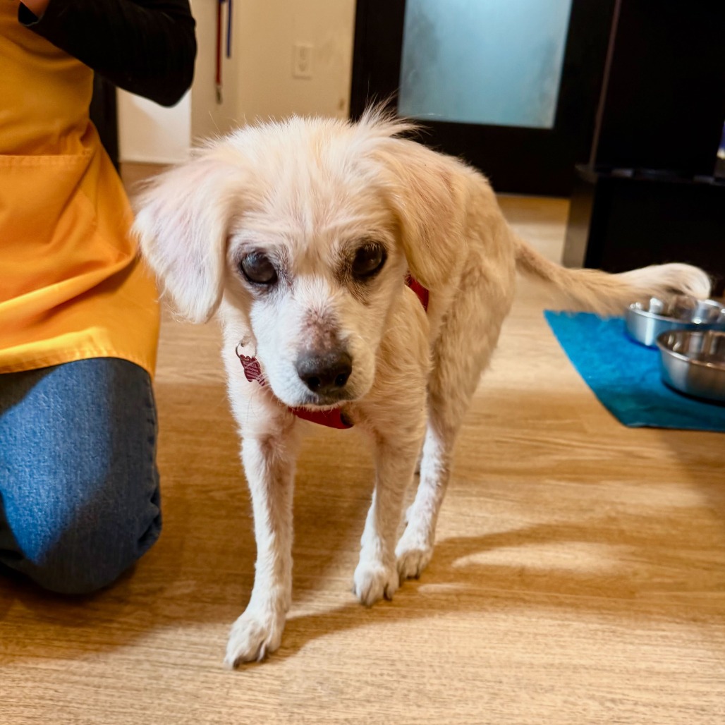 Lovelight 13765 — thumbnail 2