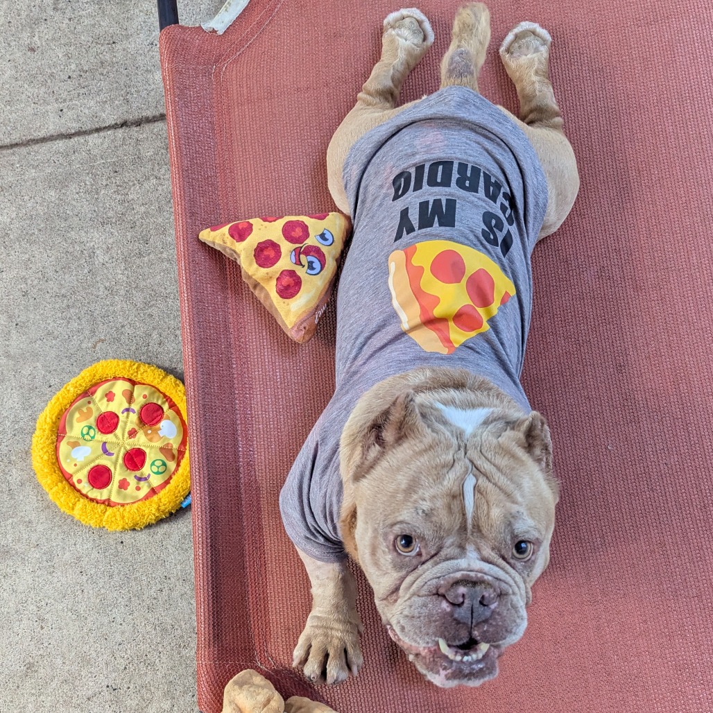Photo of Pizza Man 9