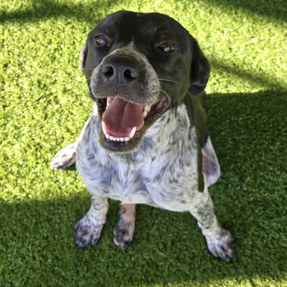 William — thumbnail 2