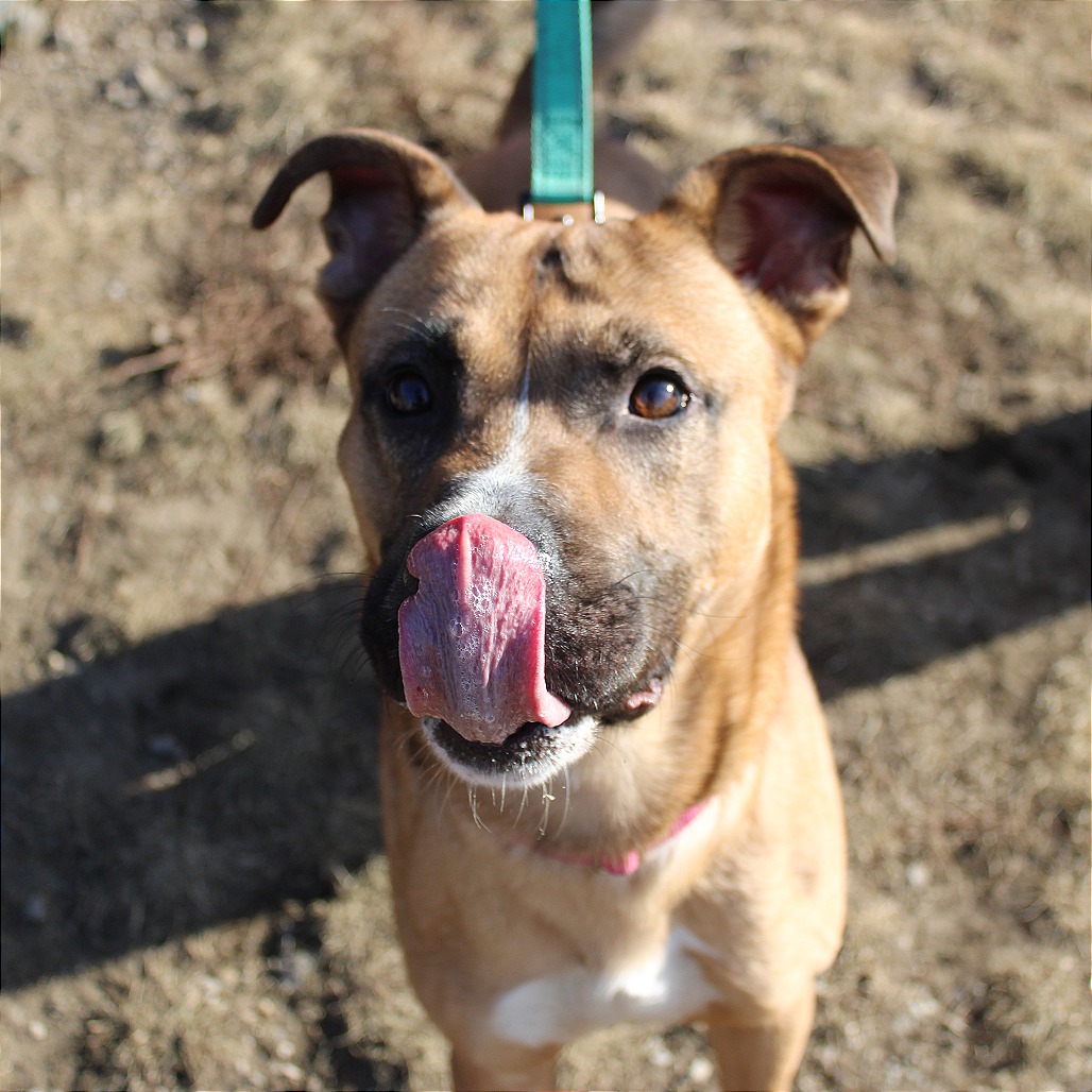 Marcus — thumbnail 4