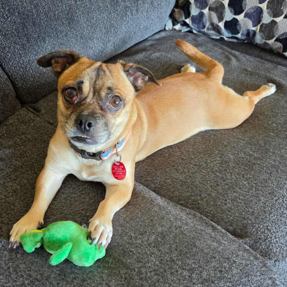 Penelope