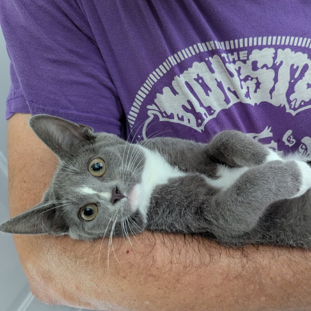 Pepper
