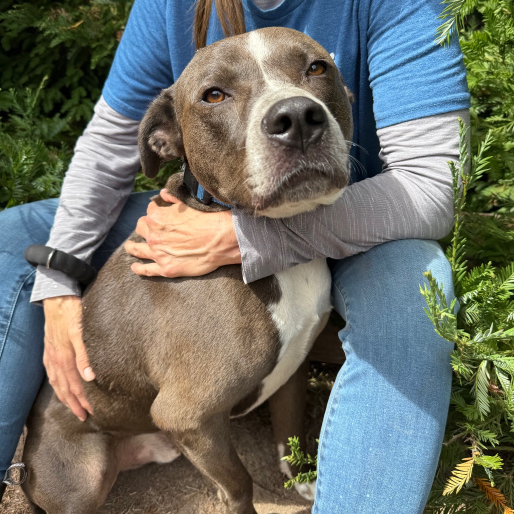 Alex — thumbnail 3