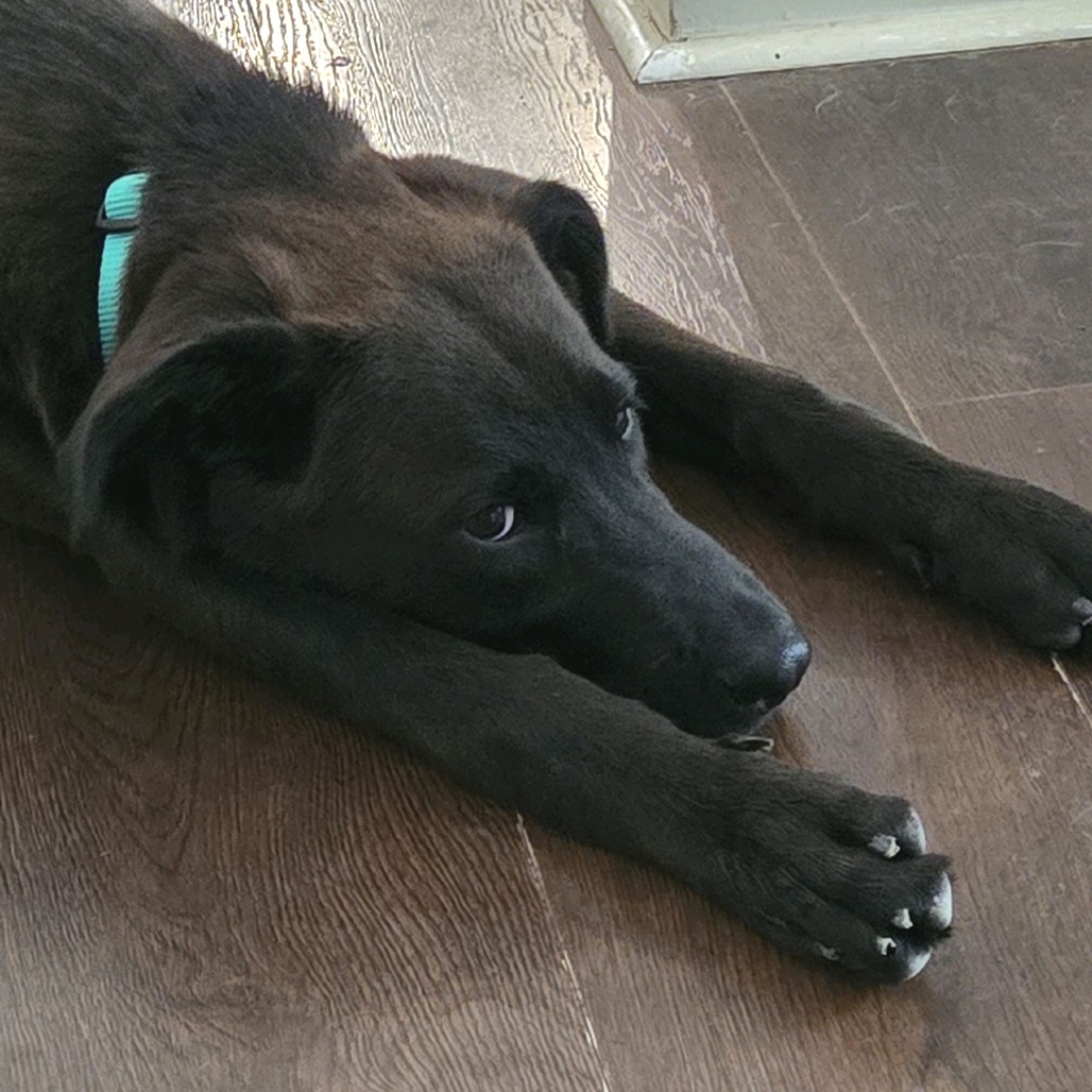 Brooks, photo 4