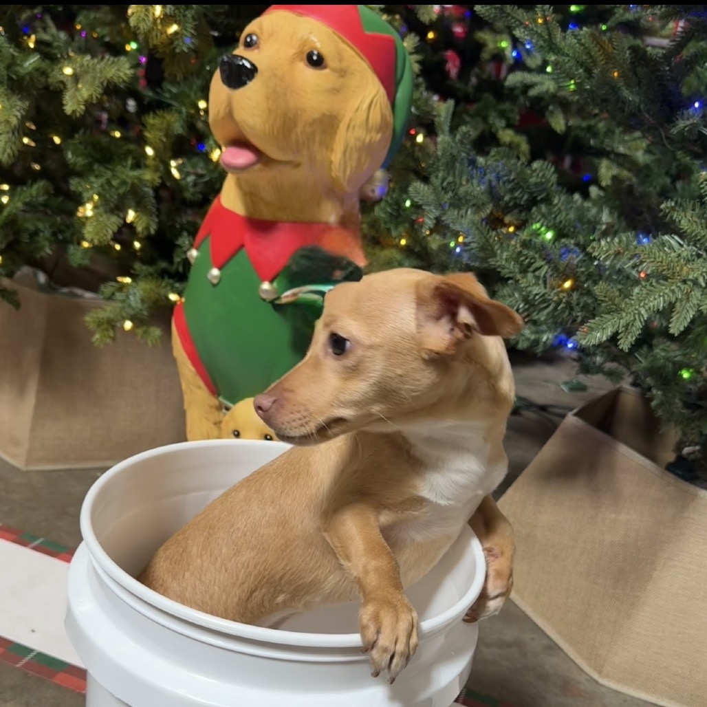Beckett 26-09-025, photo 7