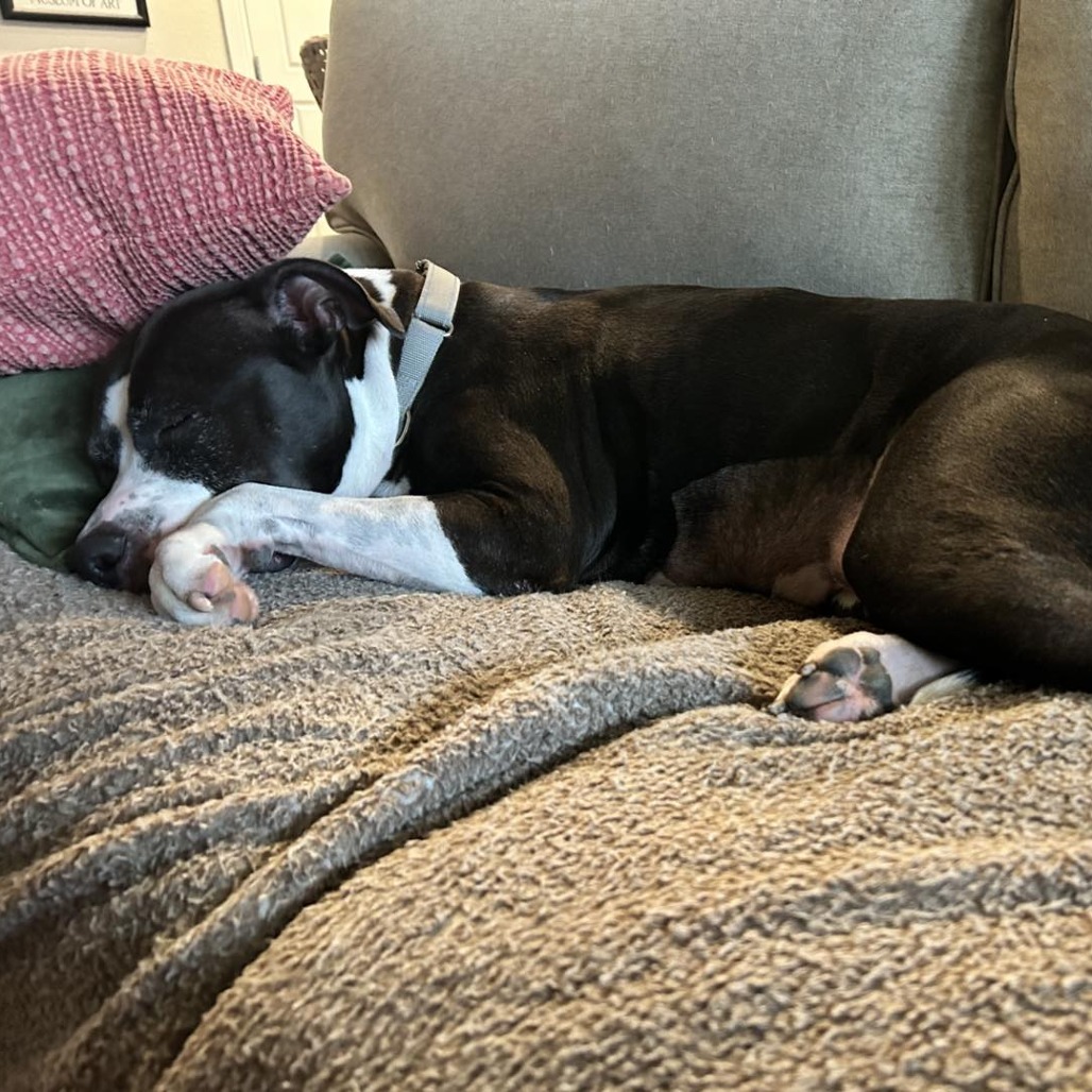 Stella, additional photo