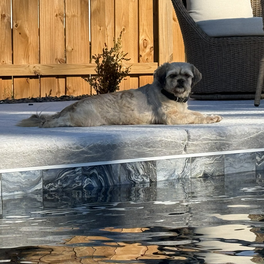 Wookiee 08-1710, photo 11
