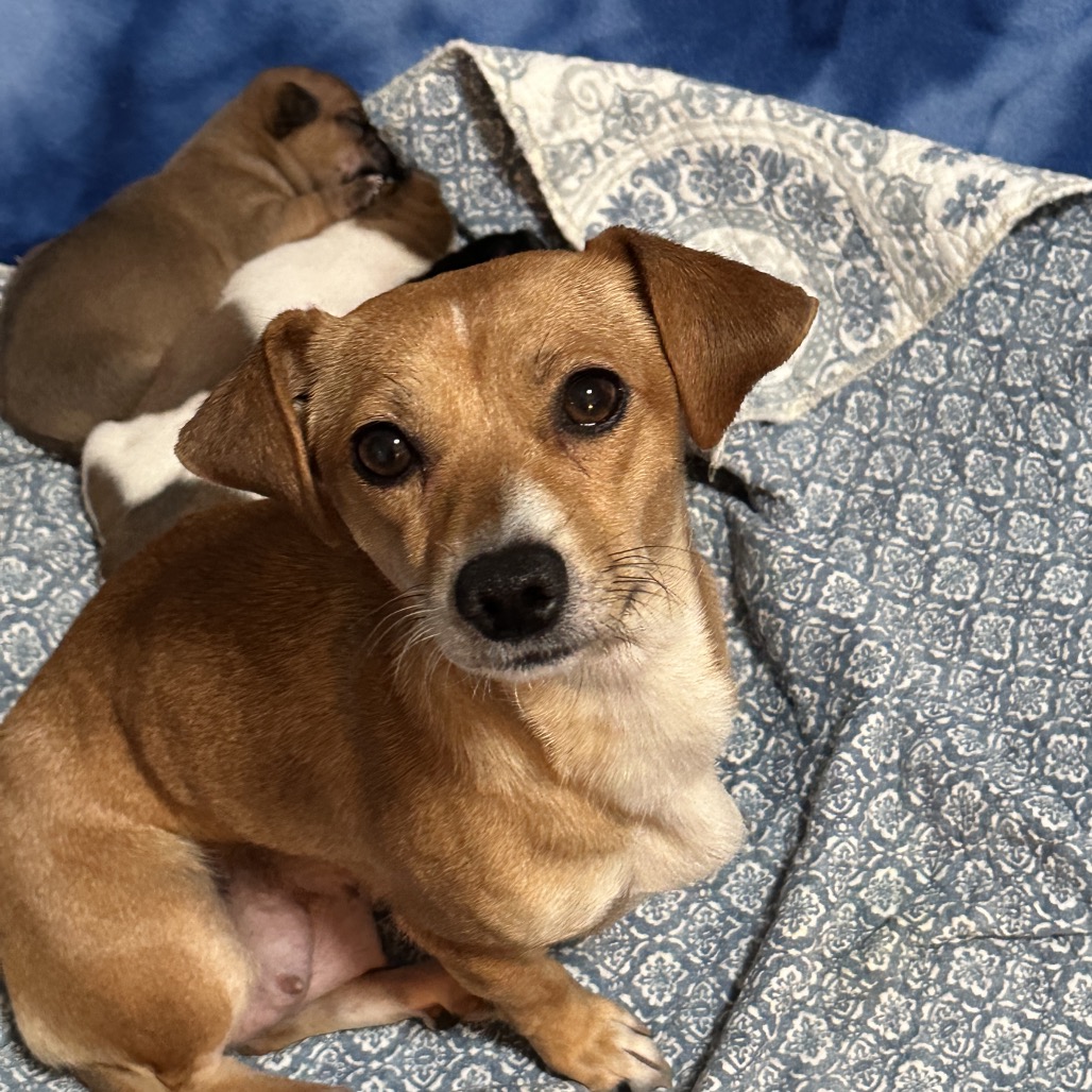 Carly — thumbnail 3