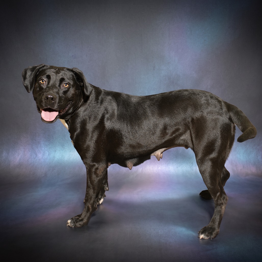 Photo of Hurley