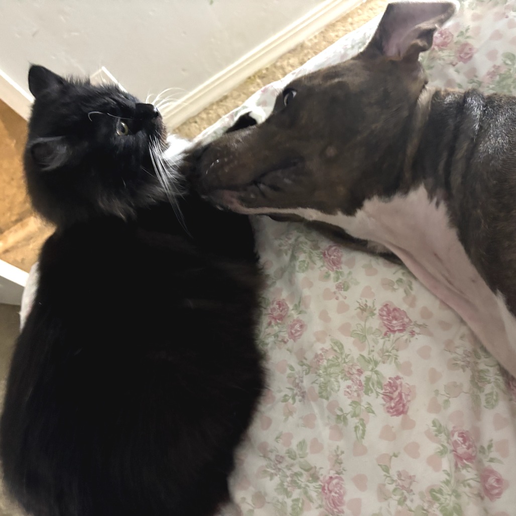 James — thumbnail 4