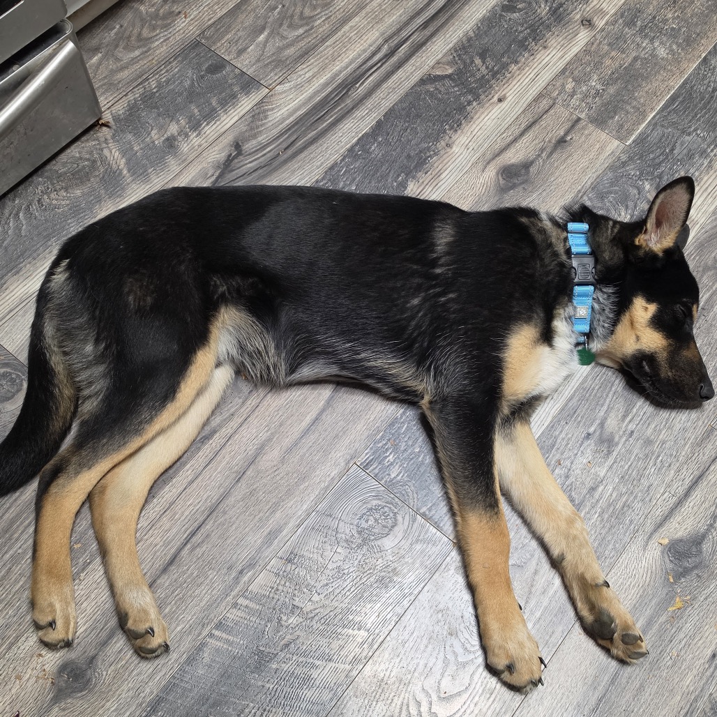 Makai, photo 4