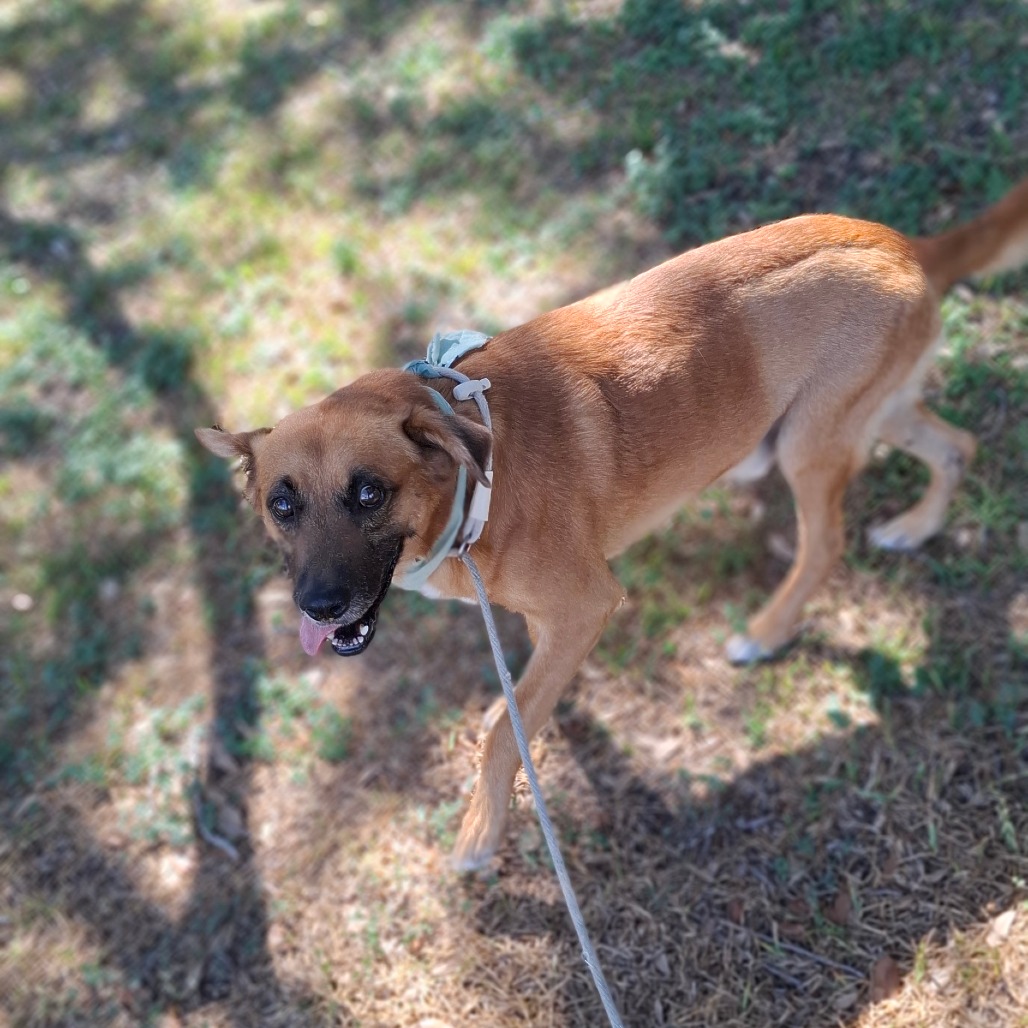 Mowgli photo 14