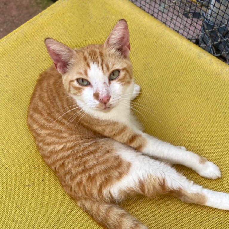 Full body shot of Lonnie