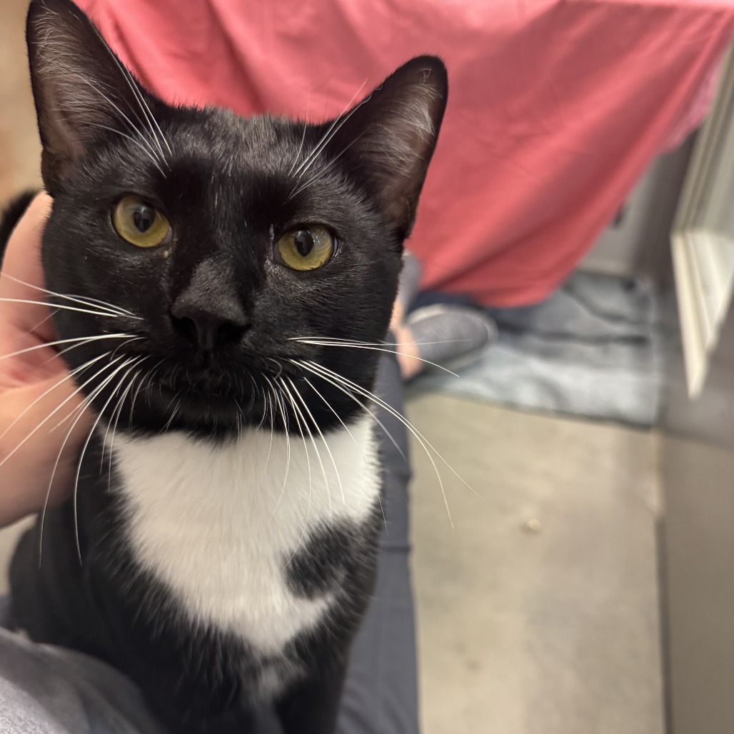 Photo of Ernie 6