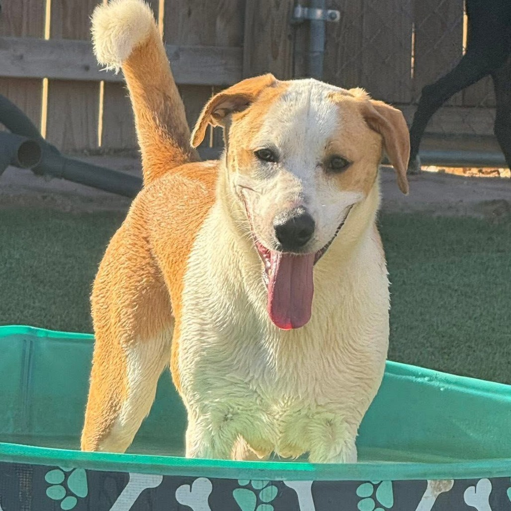 Photo of Buster