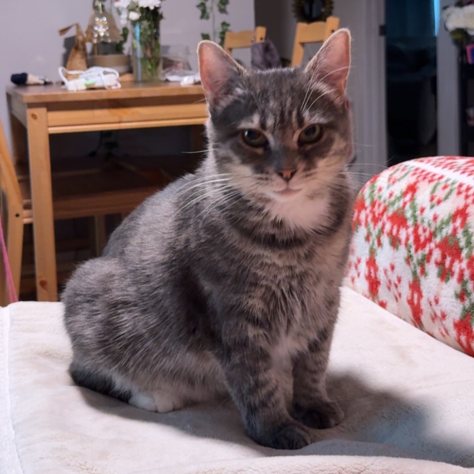 Kiara, photo 5