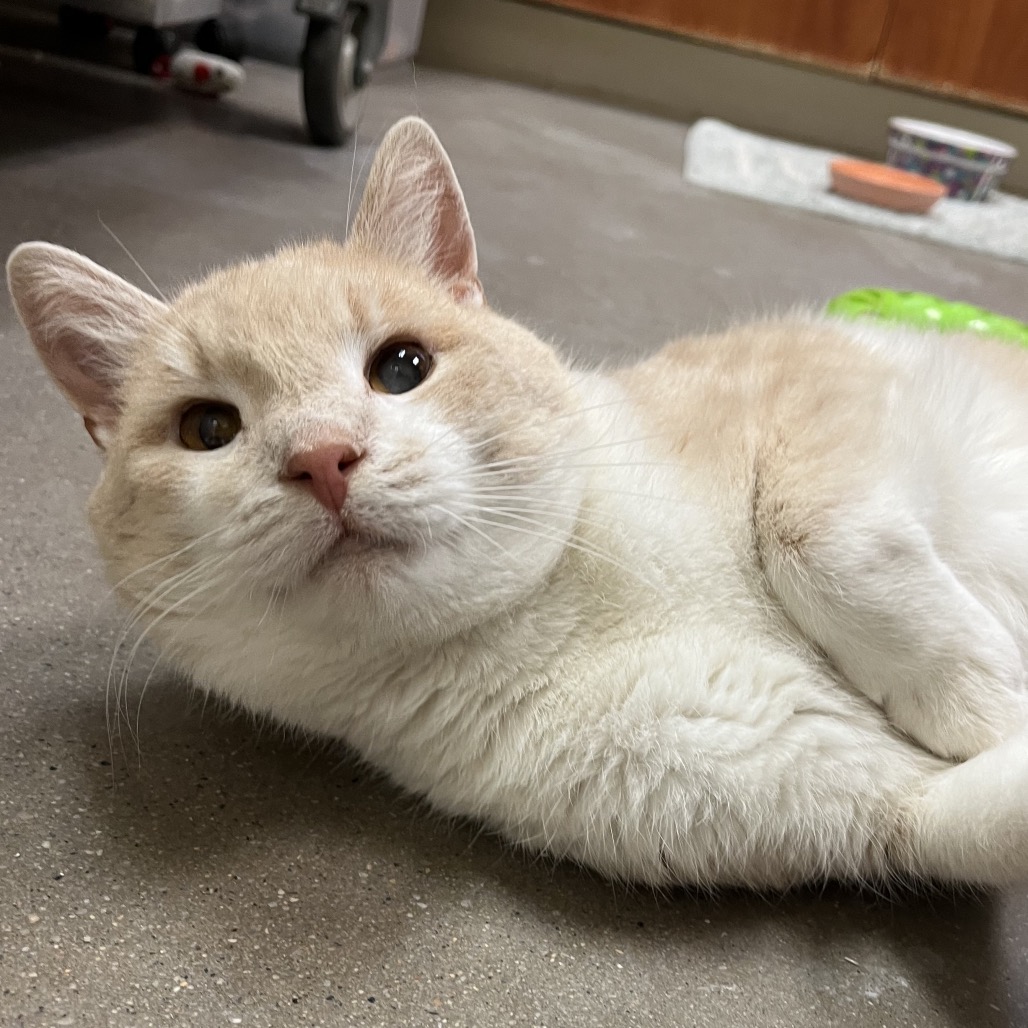 36b68c221a8aa505ed09f92e673e4d7a