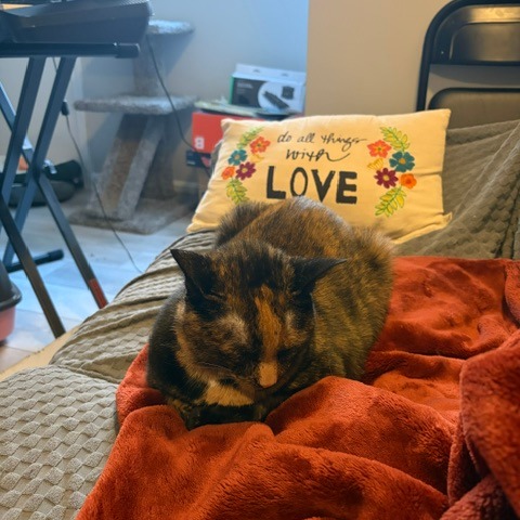 Mabel, photo 2