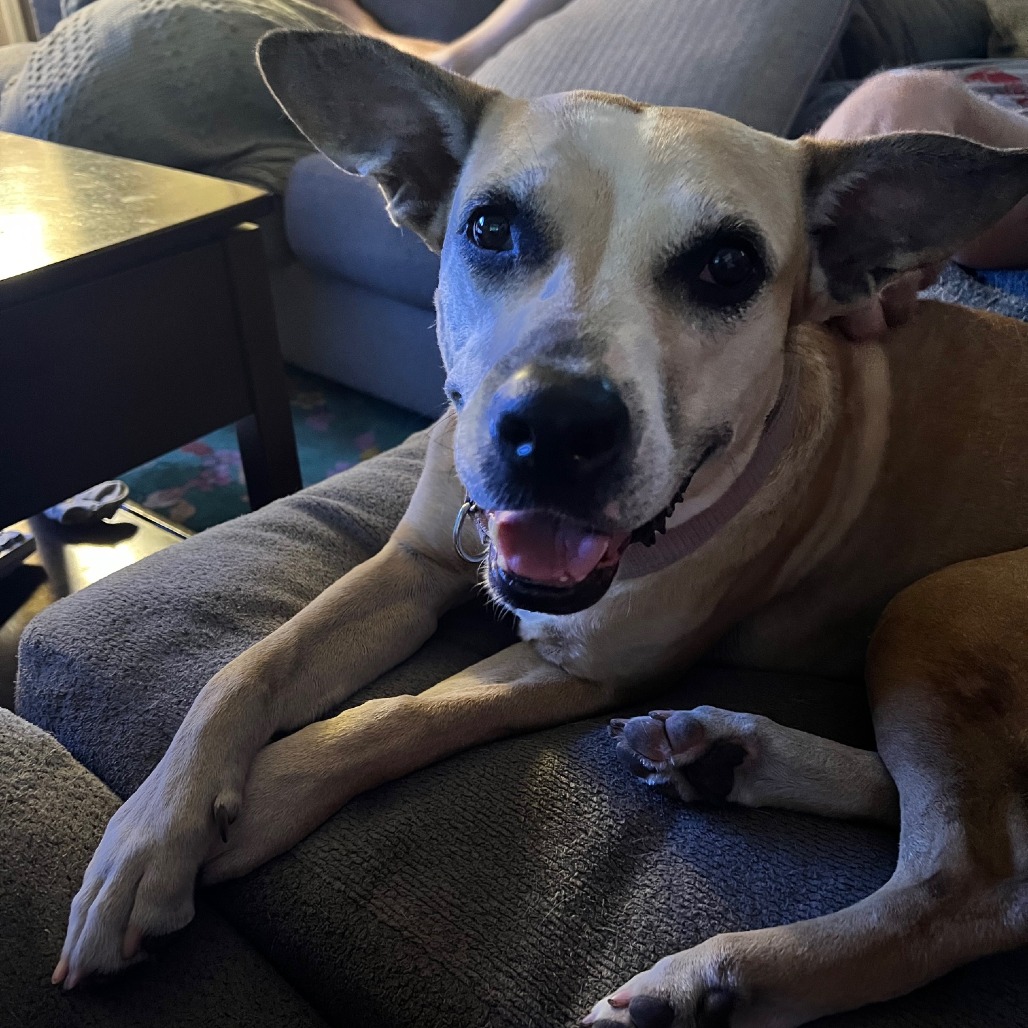 Libby, photo 11