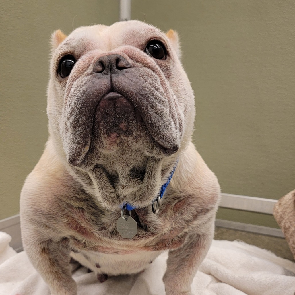 Sassy Pants — thumbnail 4